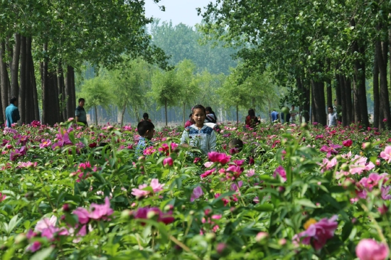 （菏澤市東明黃河森林公園。圖片來源：菏澤市攝影家協(xié)會(huì)）